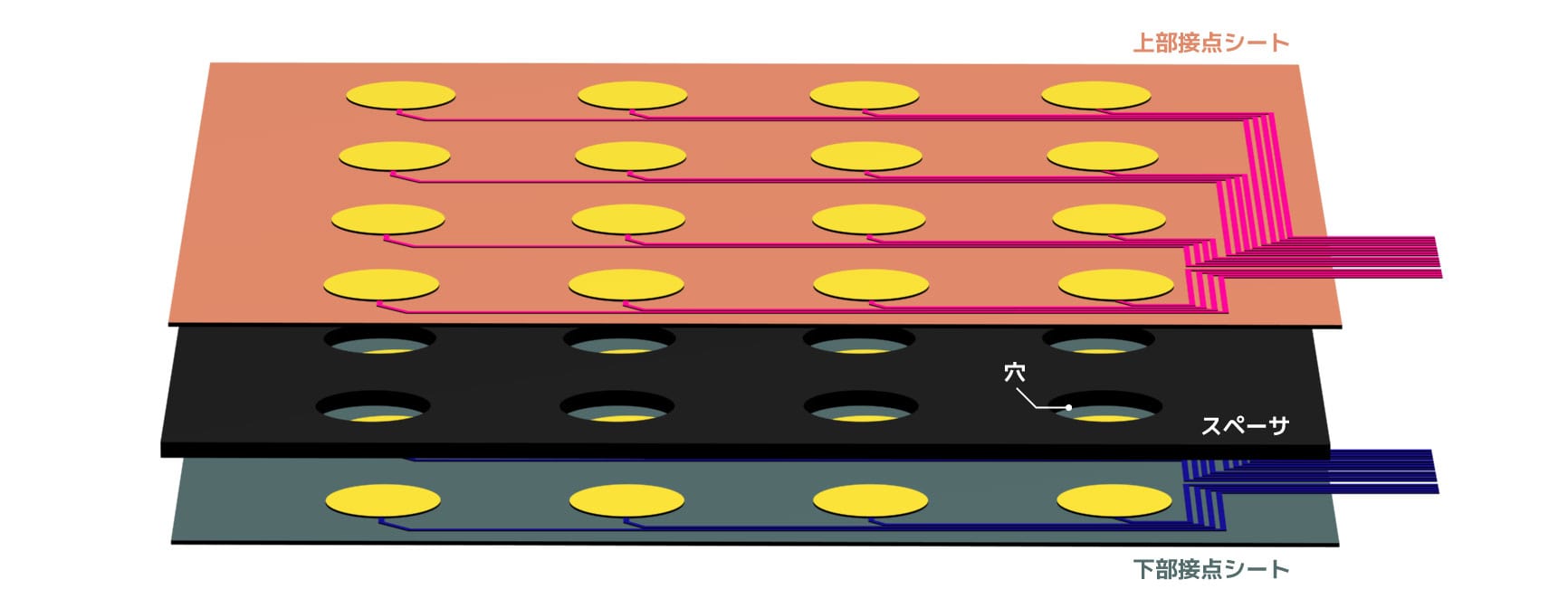 membrane_structure.jpg